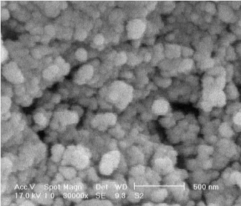 [Nanoshel] Zinc Sulfide Nanopowder