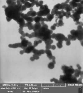 [Nanoshel] Iron Nanoparticles