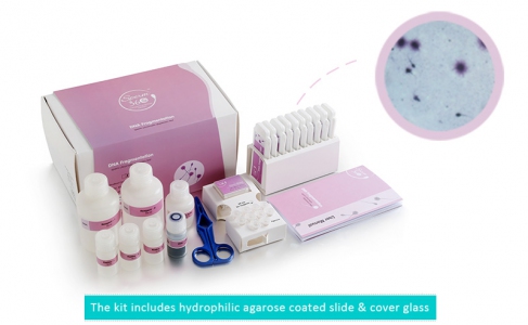 Sperm Processor Sperm DNA Fragmentation Kit, 10 tests