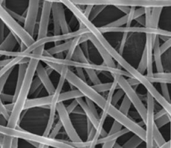 [Nanoshel] Single Walled Carbon Nanotube