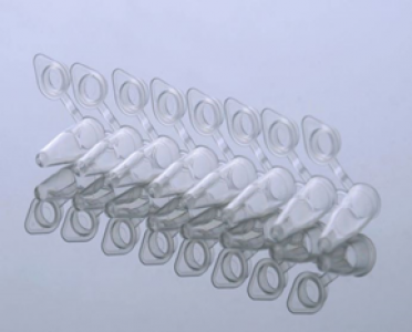 [NEST] 0.2ml PCR 8-strip Tubes with Flat Caps, Clear